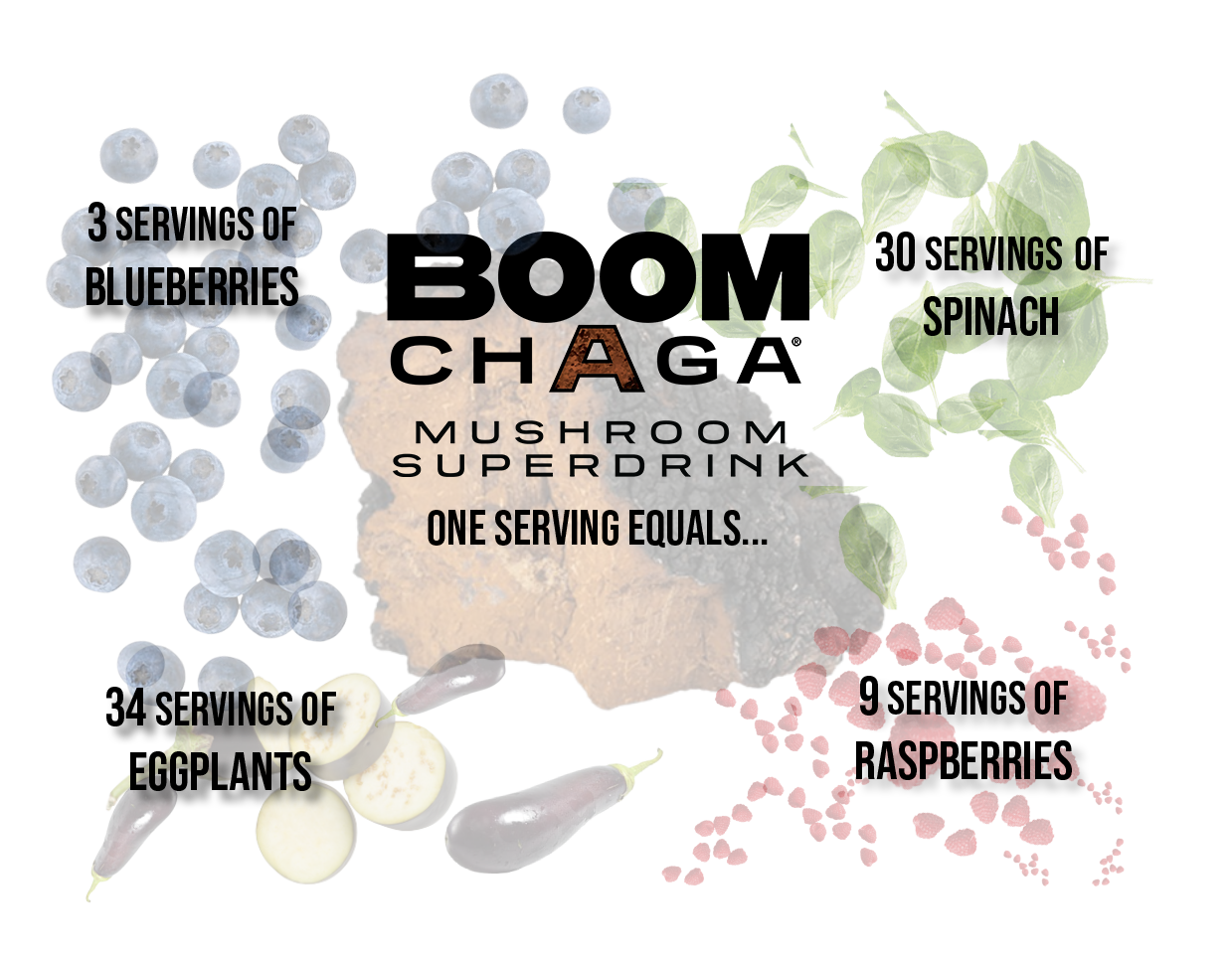 Chaga is the King of Superfoods